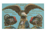 Our National Birds, Eagle and Turkey Prints