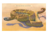 Seven-Foot Rattler, Ole Southwest Giclee Print