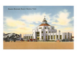 Aeropuerto municipal, Houston, Tejas Lámina giclée