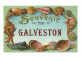 Souvenir from Galveston, Texas Posters