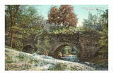 Aqueduct of San Jose Mission, Texas Prints