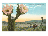 Blooming Cactus Giclee Print
