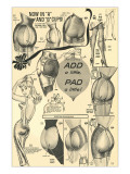 Padded Buttocks and Calves Posters