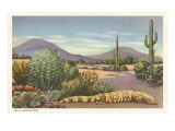 Gila Monster and Cacti Posters