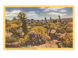 Array of Cacti Giclee Print Array of Cacti Giclee Print