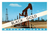 Black Gold, Midland, Texas Prints