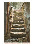 Old Steps, Mission Concepcion, San Antonio, Texas Poster