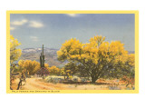 Palo Verde Trees and Saguaro in Desert Giclee Print Palo Verde Trees and Saguaro in Desert Giclee Print