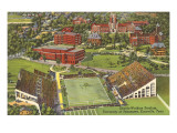 Estadio de la universidad, Knoxville, Tennessee Lámina giclée Estadio de la universidad, Knoxville, Tennessee Lámina giclée