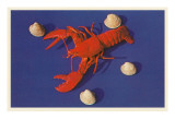 Lobster and Shells Poster