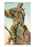 Monstruos de Gila Lámina giclée