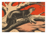 Grabado de nutria Lámina giclée
