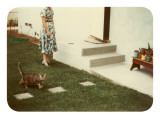 Tabby Cat on Lawn with Lady Giclee Print