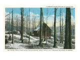 Vermont Sugar Orchard Posters