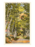 Ames Hill, Brattleboro, Vermont Prints