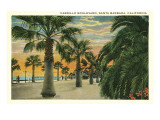 Palm Trees on Cabrillo Boulevard, Santa Barbara, California Giclee Print Palm Trees on Cabrillo Boulevard, Santa Barbara, California Giclee Print