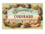 Souvenir from Coronado, California Poster
