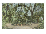 Botanical Building, Balboa Park, San Diego Giclee Print