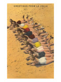 Greetings from La Jolla, California Posters