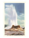 Castle Geyser, Yellowstone National Park Giclee Print