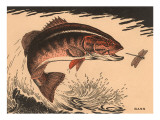Woodcut of Bass Giclee Print