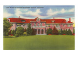 Pink Palace, Chickasaw Gardens, Memphis, Tennessee Posters