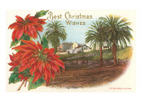 Best Christmas, Old Mission, San Diego, California Photo