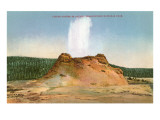 Castle Geyser, Yellowstone National Park Giclee Print