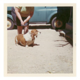 Fat Lady with Fat Basset Hound Giclee Print