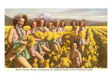 Daffodil Maidens, Puyallup Valley, Washington Prints
