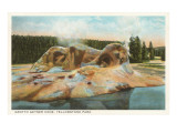 Grotto Geyser, Yellowstone National Park Giclee Print