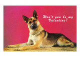 Wont You be My Valentine? Quizzical German Shepherd Lámina giclée
