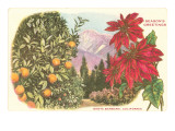 Season's Greetings, Santa Barbara, California Prints