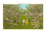 Apfelblüten in Virginia Poster