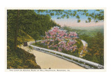 Scenic Mountain Road, Roanoke, Virginia Prints