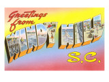 Greetings from Windy Hill, South Carolina Prints