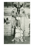 Moose Head, Snowshoes, Trunk Cabinet Posters