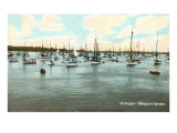 Boats at Anchor, Newport Harbor, Rhode Island Print
