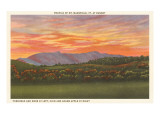 Mt. Mansfield at Sunset, Vermont Prints