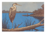 Great Blue Heron Perched on Log Prints