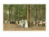 Greetings from Woodstock, Bellows Falls, Vermont Posters