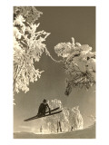Airborne Skier Amid Frost-Laden Trees Posters