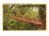 Bridge over Palm Canyon, Balboa Park, San Diego, California Poster