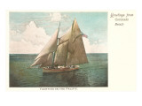 Yachting on the Pacific, Greetings from Coronado, California Giclee Print