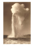 Old Faithful Geyser, Yellowstone National Park Giclee Print