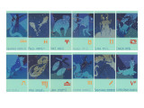 Twelve Zodiac Signs Giclée-Druck