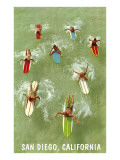 Surfers Paddling Away, San Diego, California Print