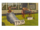 Perry's Nut House, Belfast, Maine Posters