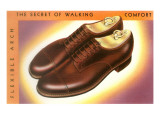 Men's Shoes with Shoe Trees Photo