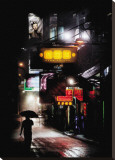 Nuit de Chine Leinwand von Christophe Jacrot